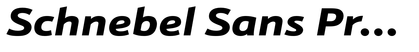 Schnebel Sans Pro Extended Black Italic